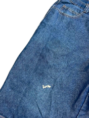 BIG PRINT Y2K Denim Shorts (M-34)
