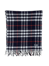 Burberry Scarfs (160 cm)