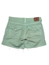 True Religion Shorts (Women M)